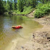 Review photo of White Birch Canoe Trips & Campground by Jennifer G., May 29, 2019