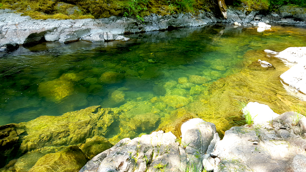 Camper submitted image from Fish Creek (OR) - 5