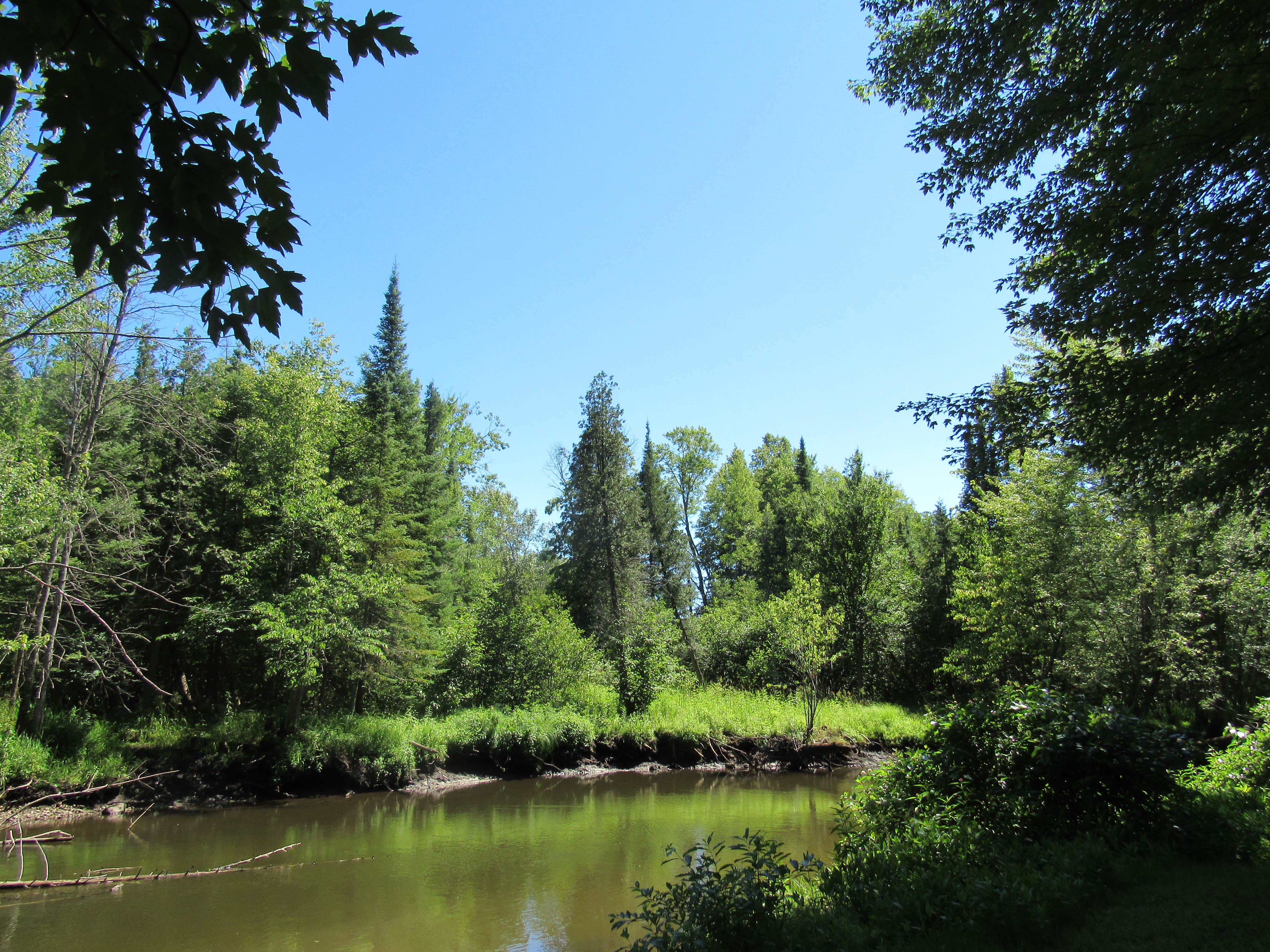 Camper-submitted photo at White Birch Canoe Trips & Campground near Prudenville, MI