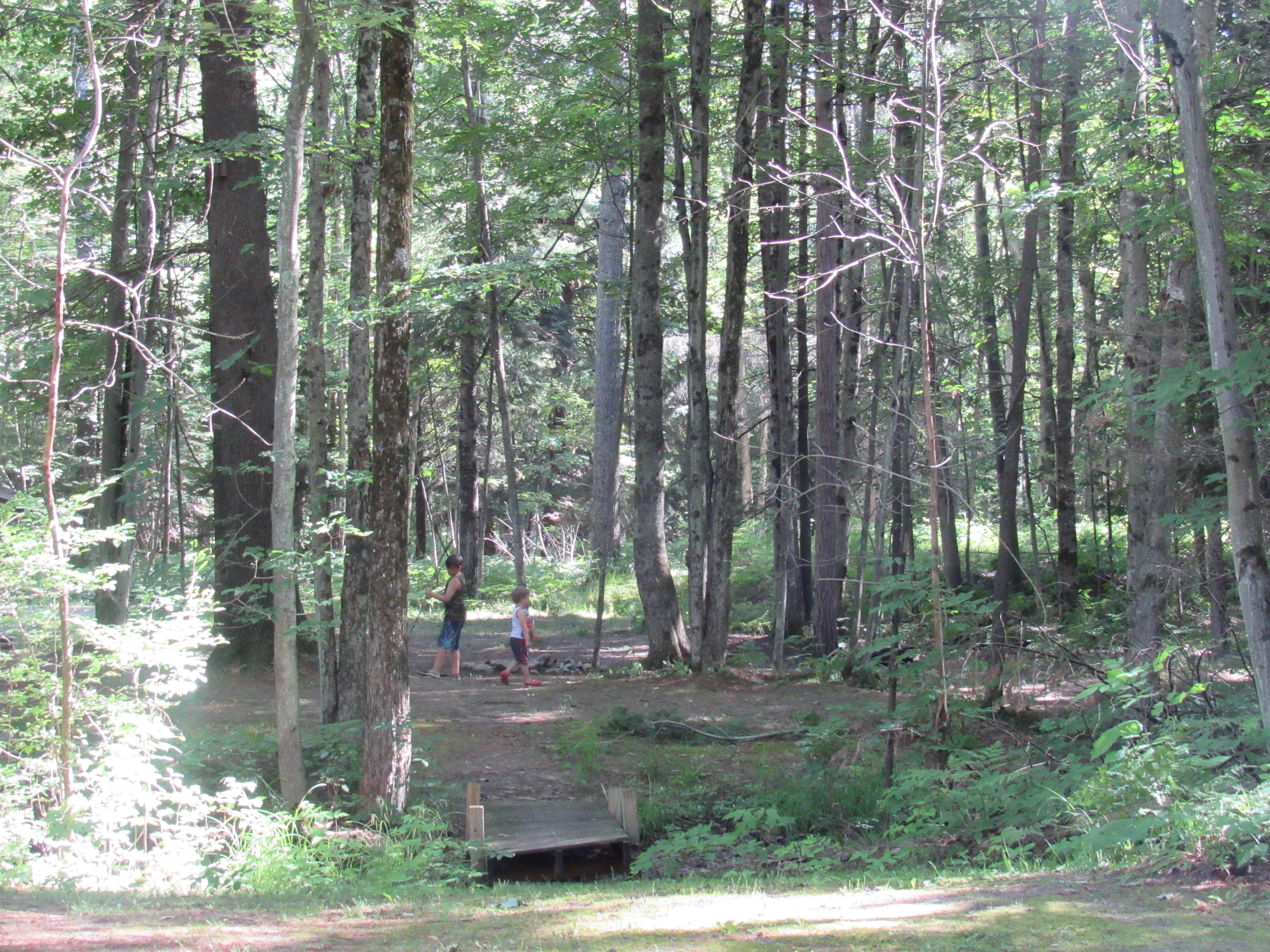 Camper-submitted photo at White Birch Canoe Trips & Campground near Prudenville, MI