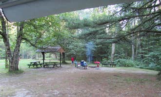 Camping near Wooded Acres Campground: White Birch Canoe Trips & Campground, Prudenville, Michigan