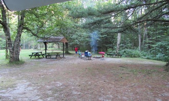 Camping near Veterans Memorial Park: White Birch Canoe Trips & Campground, Prudenville, Michigan