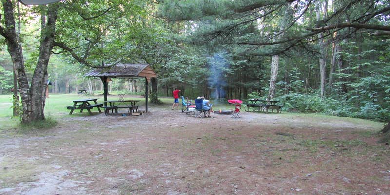 Camper submitted image from White Birch Canoe Trips & Campground