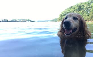 Erica's photo of camping with pets at Mile Creek County Park near Fair Play, SC