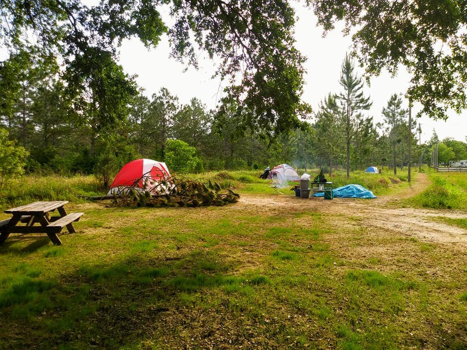 Camper submitted image from Alabama Coast Campground - 2