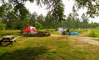 The Dyrt Tyler B.'s photo at Alabama Coast Campground near Mobile, AL