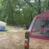 Review photo of Dr. Edmund A. Babler Memorial State Park Campground by April D., May 29, 2019