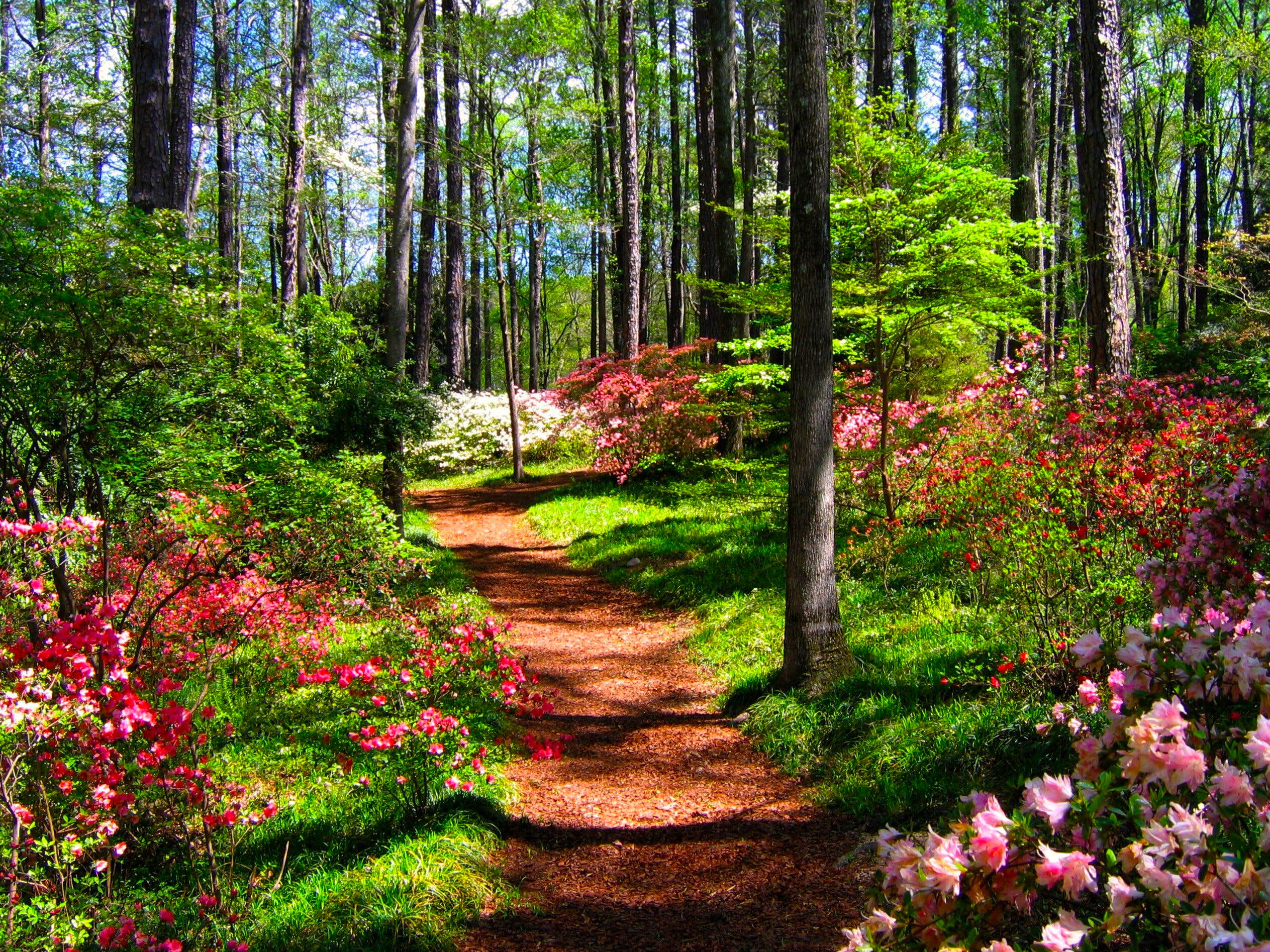 Camper submitted image from Pine Mountain RV Resort - 4