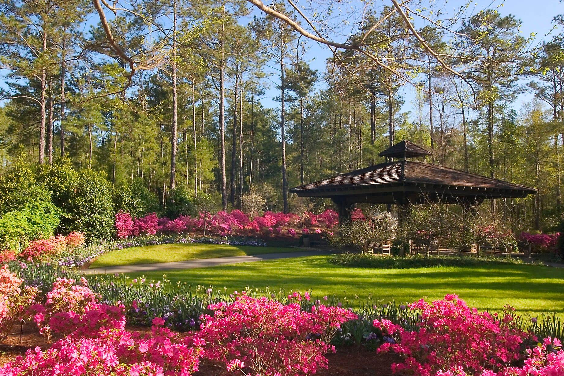 Camper-submitted photo at Pine Mountain RV Resort near Peachtree City, GA