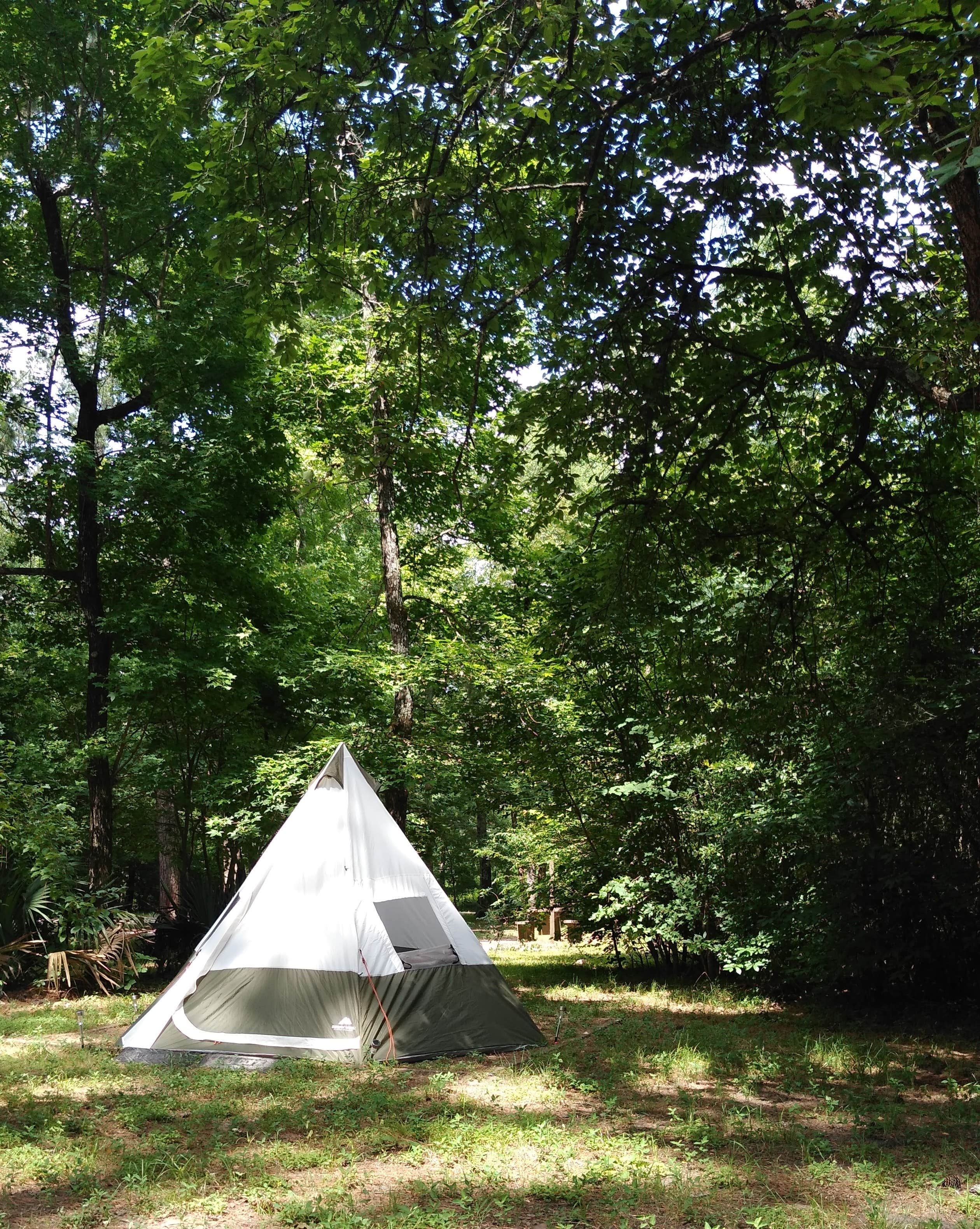 Camper submitted image from Stubblefield Lake Recreation Area - 2
