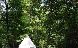 Amy H.'s photo at Stubblefield Lake Recreation Area near Huntsville, TX