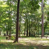 Review photo of Stubblefield Lake Recreation Area by Amy H., May 29, 2019