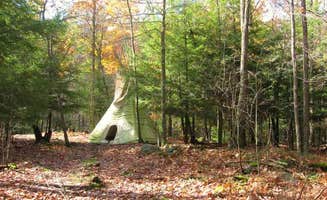 The Dyrt Tyler B.'s photo of tent camping at Abrams Creek Campground and Retreat Center in West Virginia