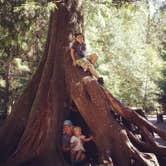 Review photo of Twanoh State Park Campground by Ashley Y., August 15, 2016