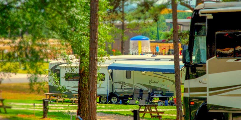Camper submitted image from Pine Mountain RV Resort