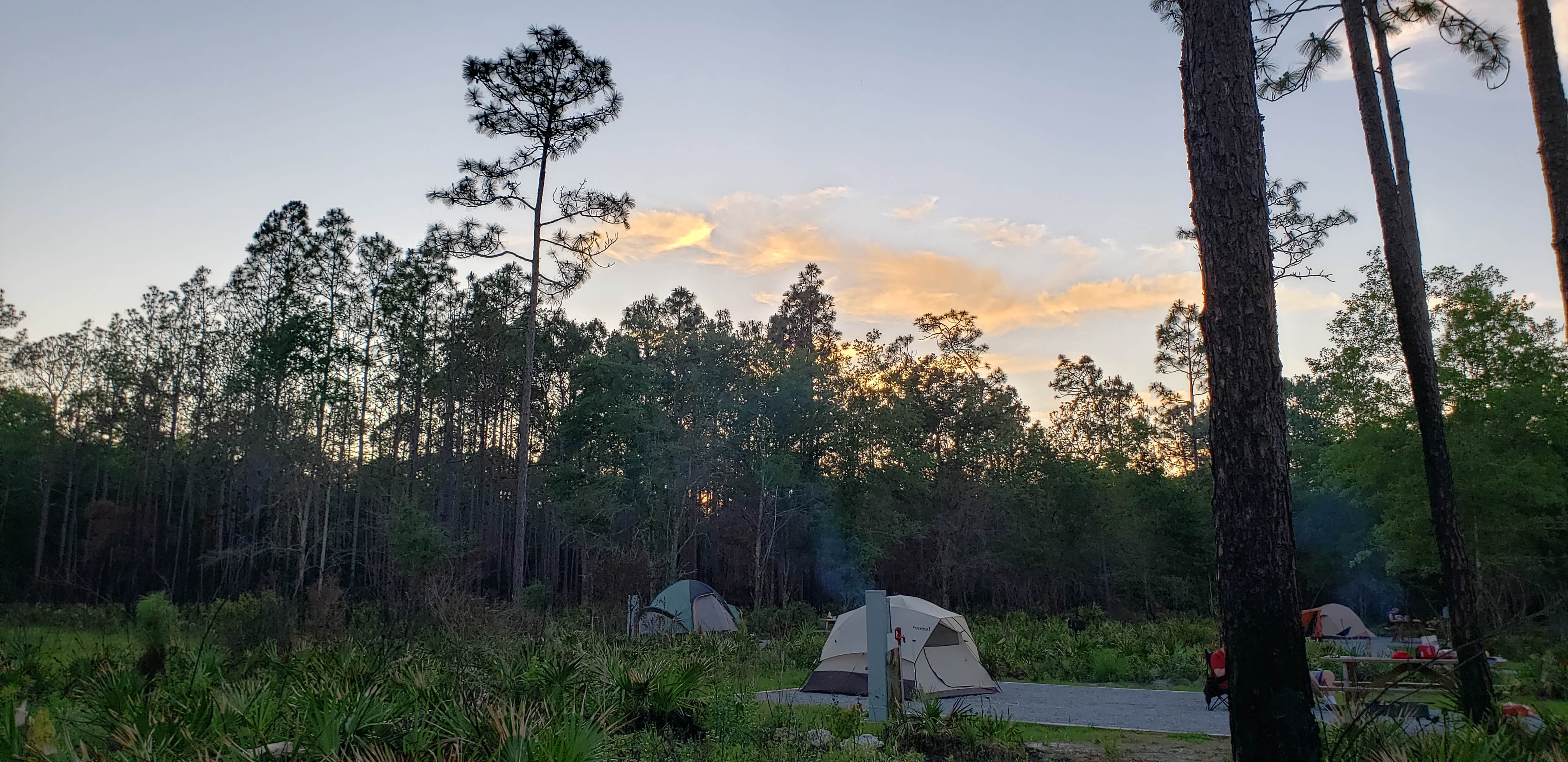 Jeanene A.'s photo at Colt Creek State Park Campground near Polk City, FL