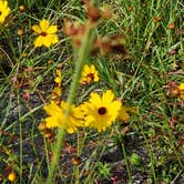 Review photo of Colt Creek State Park Campground by Jeanene A., May 29, 2019