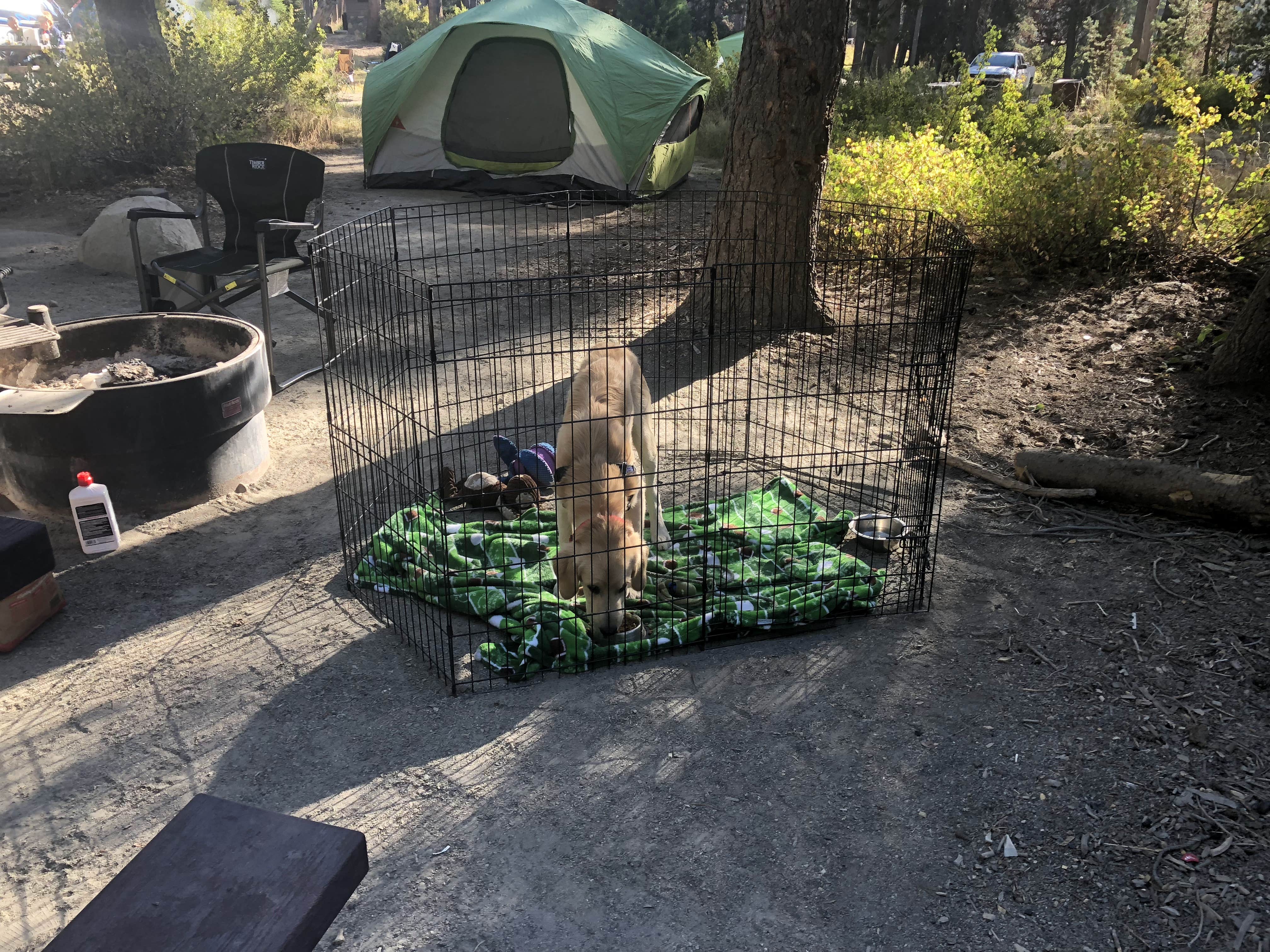 Austin C.'s photo at Sierra National Forest College Campground near Big Creek, CA