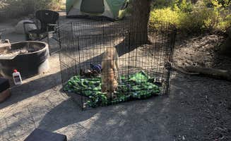 Austin C.'s photo at Sierra National Forest College Campground near Big Creek, CA