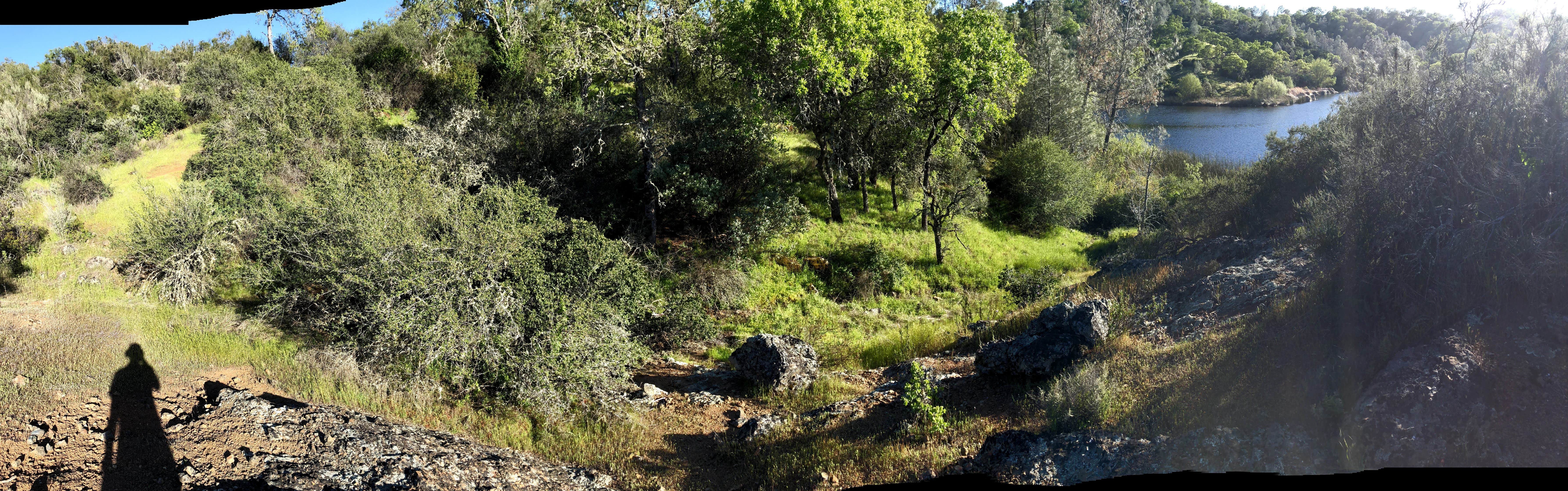 Camper submitted image from Coe Ranch Campground — Henry W. Coe State Park - 4