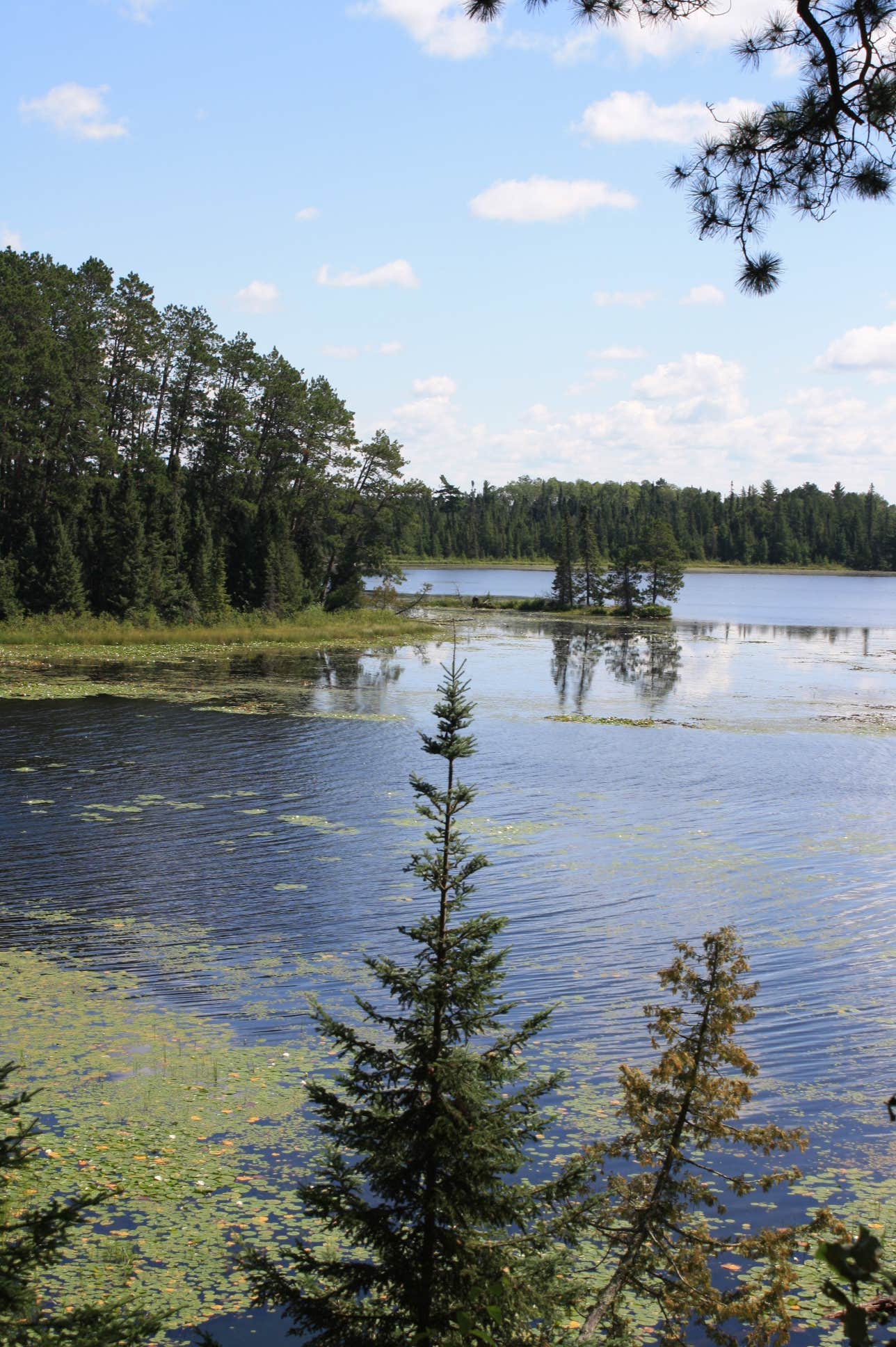 Camper submitted image from Chase Point Campground — Scenic State Park - 2