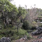 Review photo of Coe Ranch Campground — Henry W. Coe State Park by Austin C., May 29, 2019