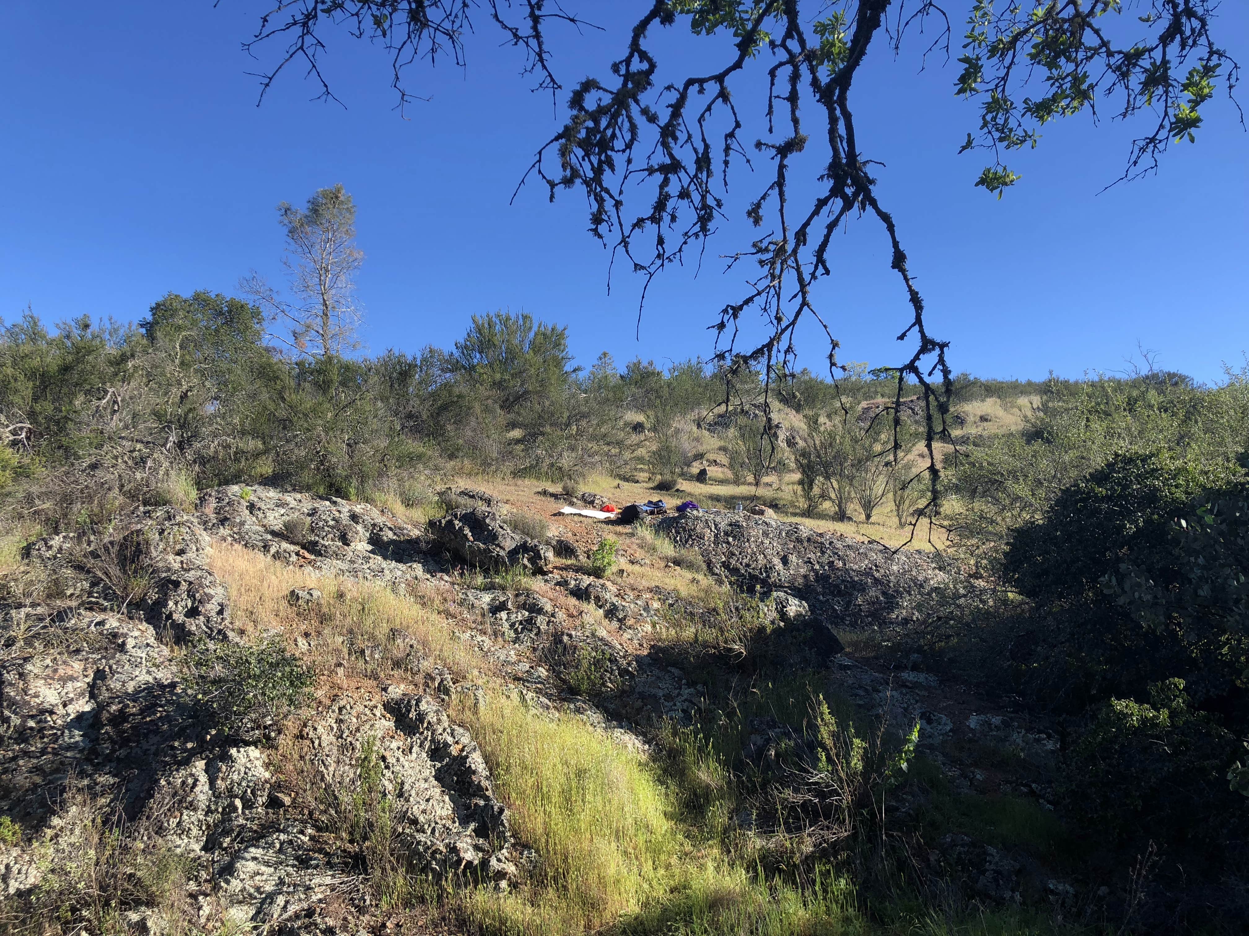 Camper-submitted photo at Coe Ranch Campground — Henry W. Coe State Park near San Martin, CA