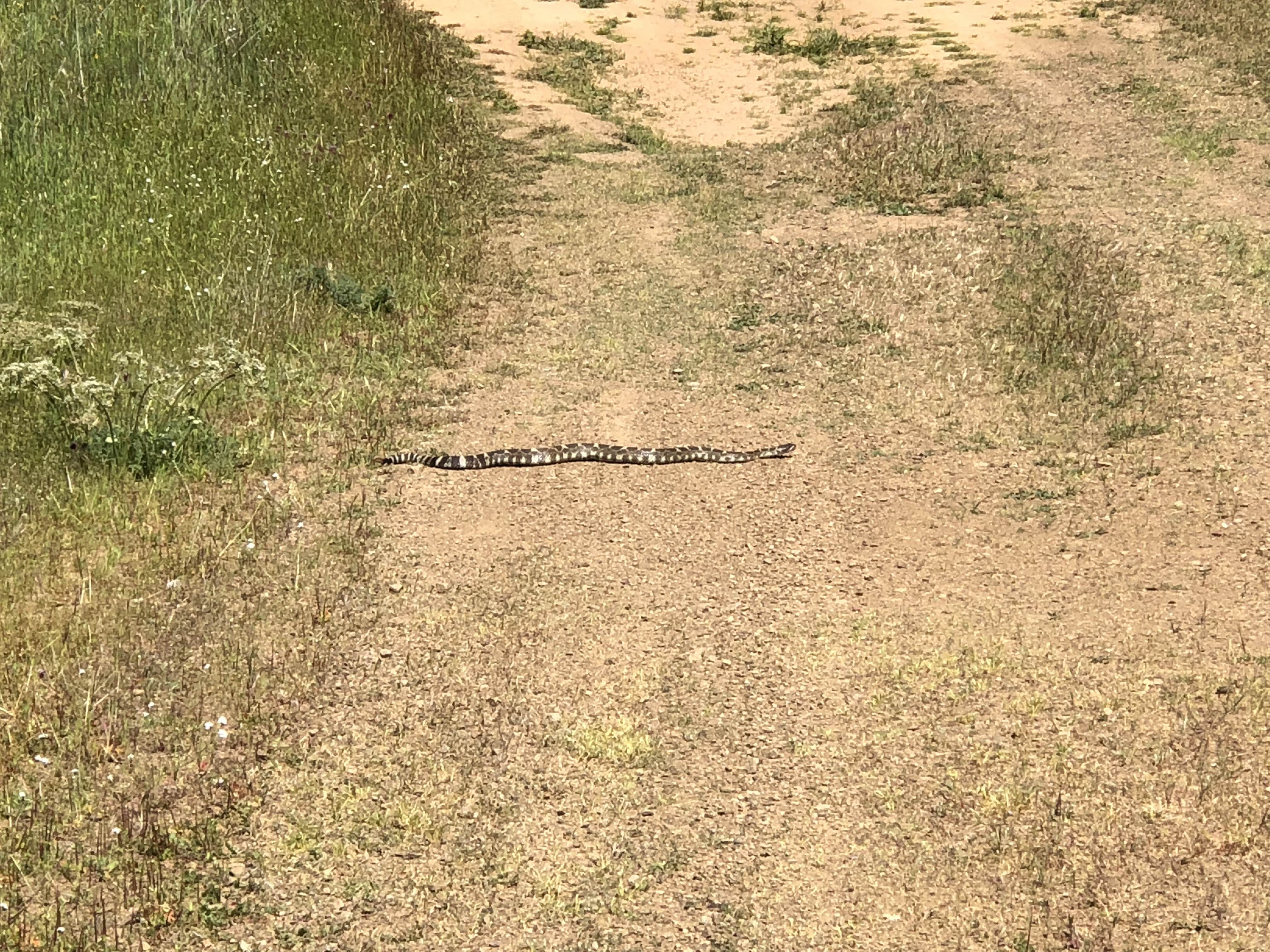 Camper-submitted photo at Coe Ranch Campground — Henry W. Coe State Park near San Martin, CA