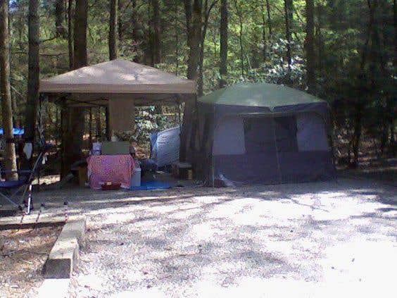 Elaine  H.'s photo at Vogel State Park Campground near Chattahoochee-Oconee National Forests