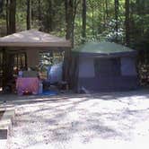 Review photo of Vogel State Park Campground by Elaine  H., May 29, 2019