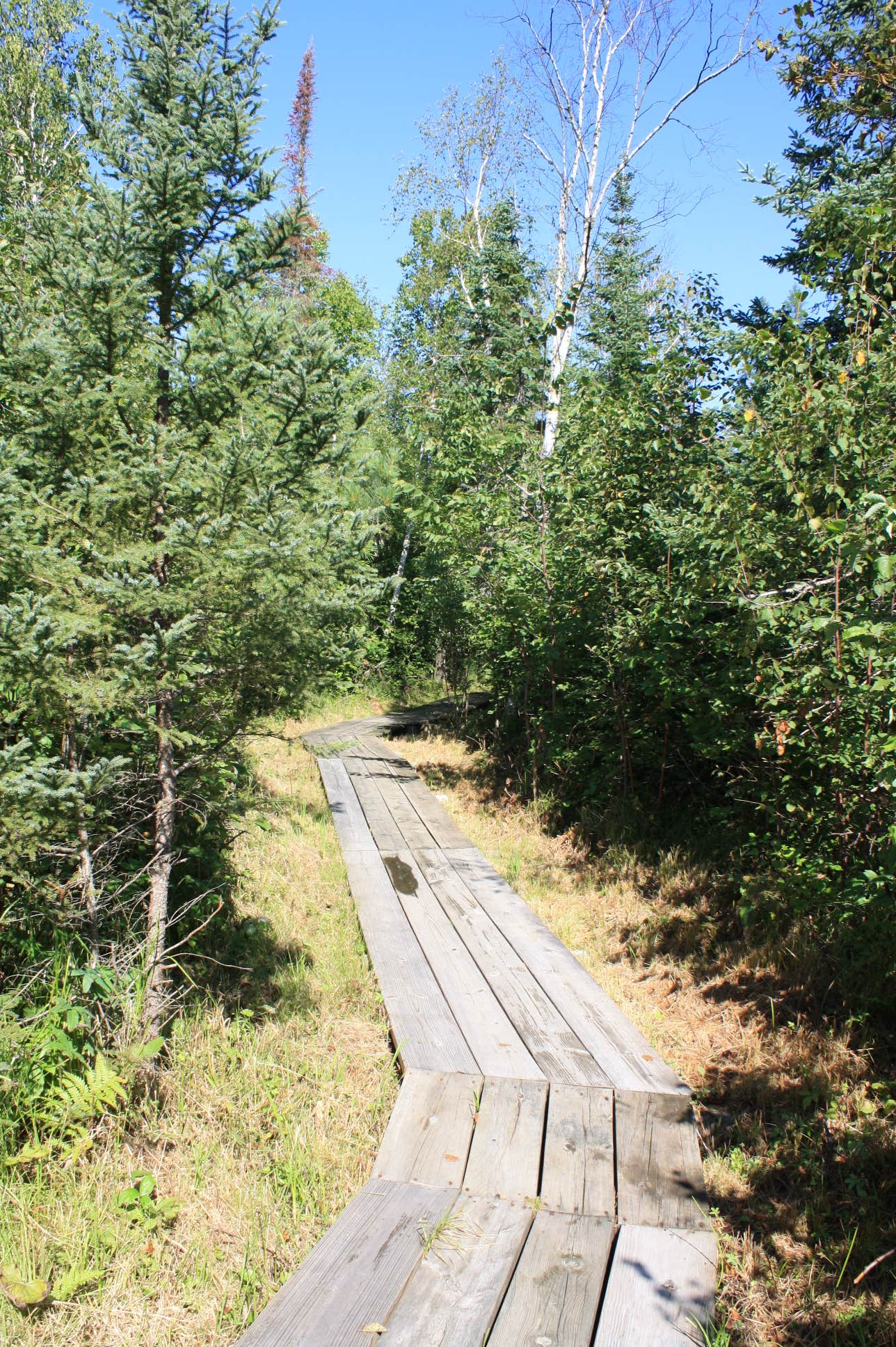 Camper submitted image from Chase Point Campground — Scenic State Park - 2
