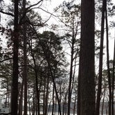 Review photo of Lake Catherine State Park Campground by Natalie C., May 29, 2019