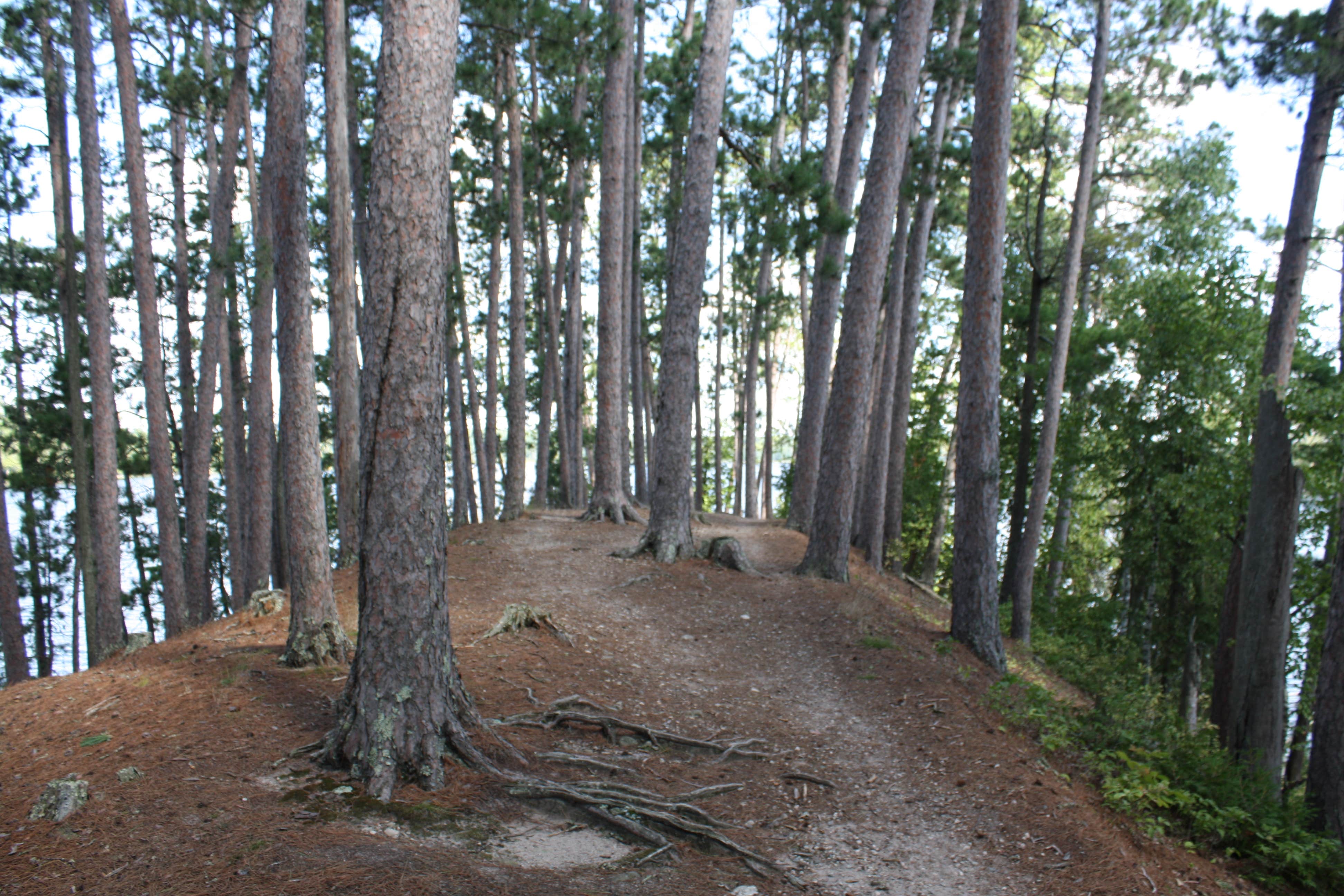 Camper submitted image from Chase Point Campground — Scenic State Park - 3