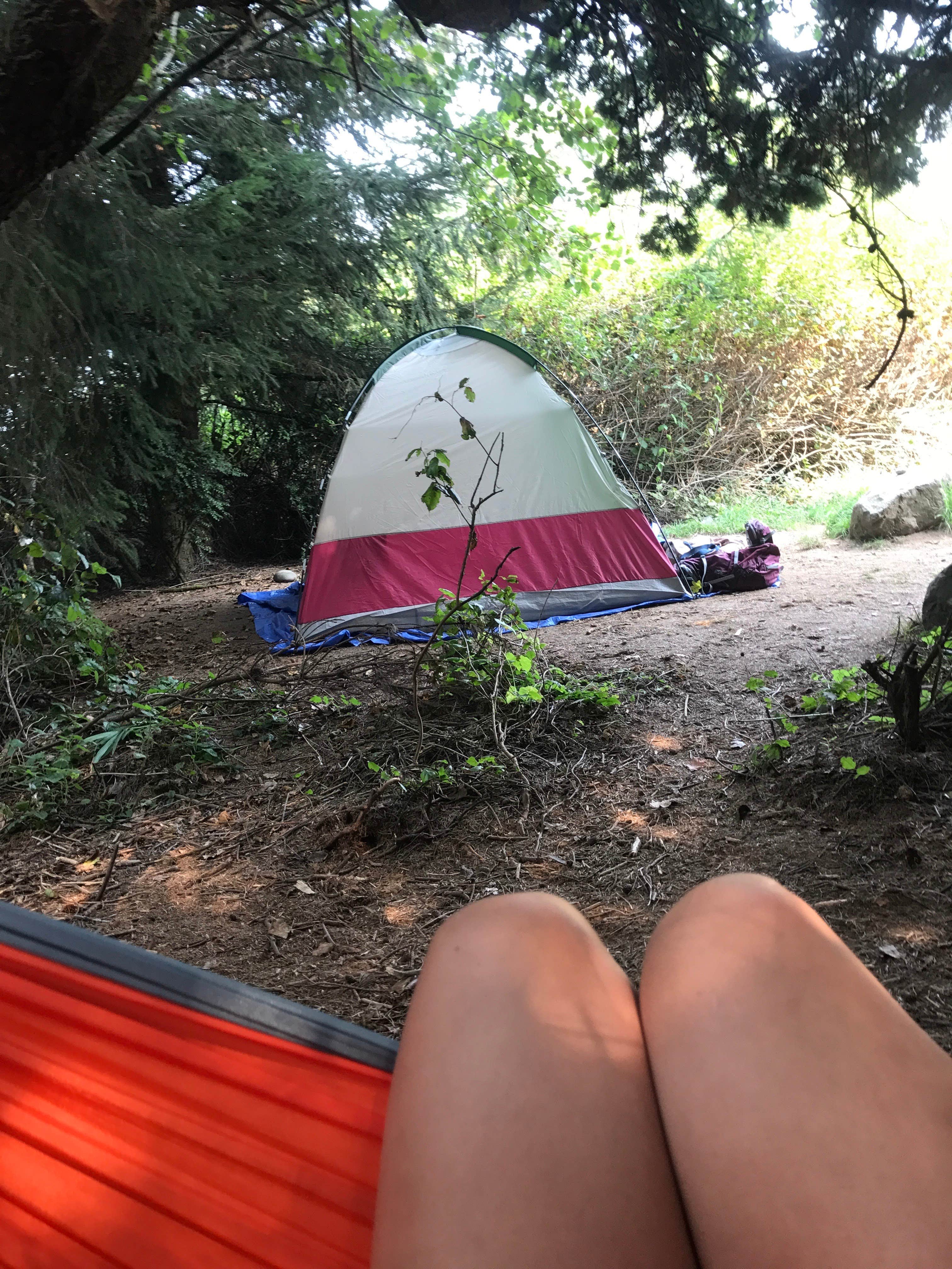 Austin C.'s photo of tent camping at Agate Campground near Ferndale, CA