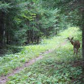 Review photo of Chase Point Campground — Scenic State Park by Anton T., August 31, 2016