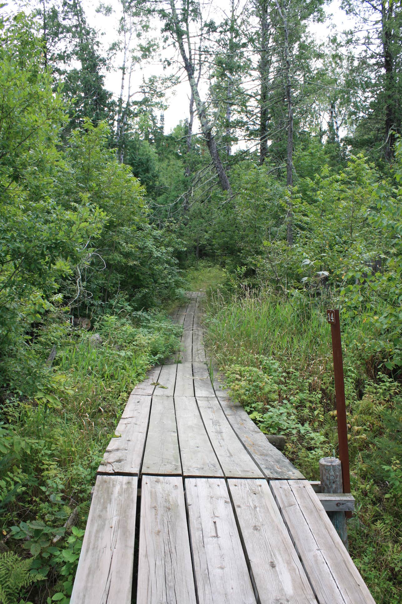 Camper submitted image from Chase Point Campground — Scenic State Park - 3