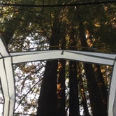 Review photo of Albee Creek Camp — Humboldt Redwoods State Park by Austin C., May 29, 2019
