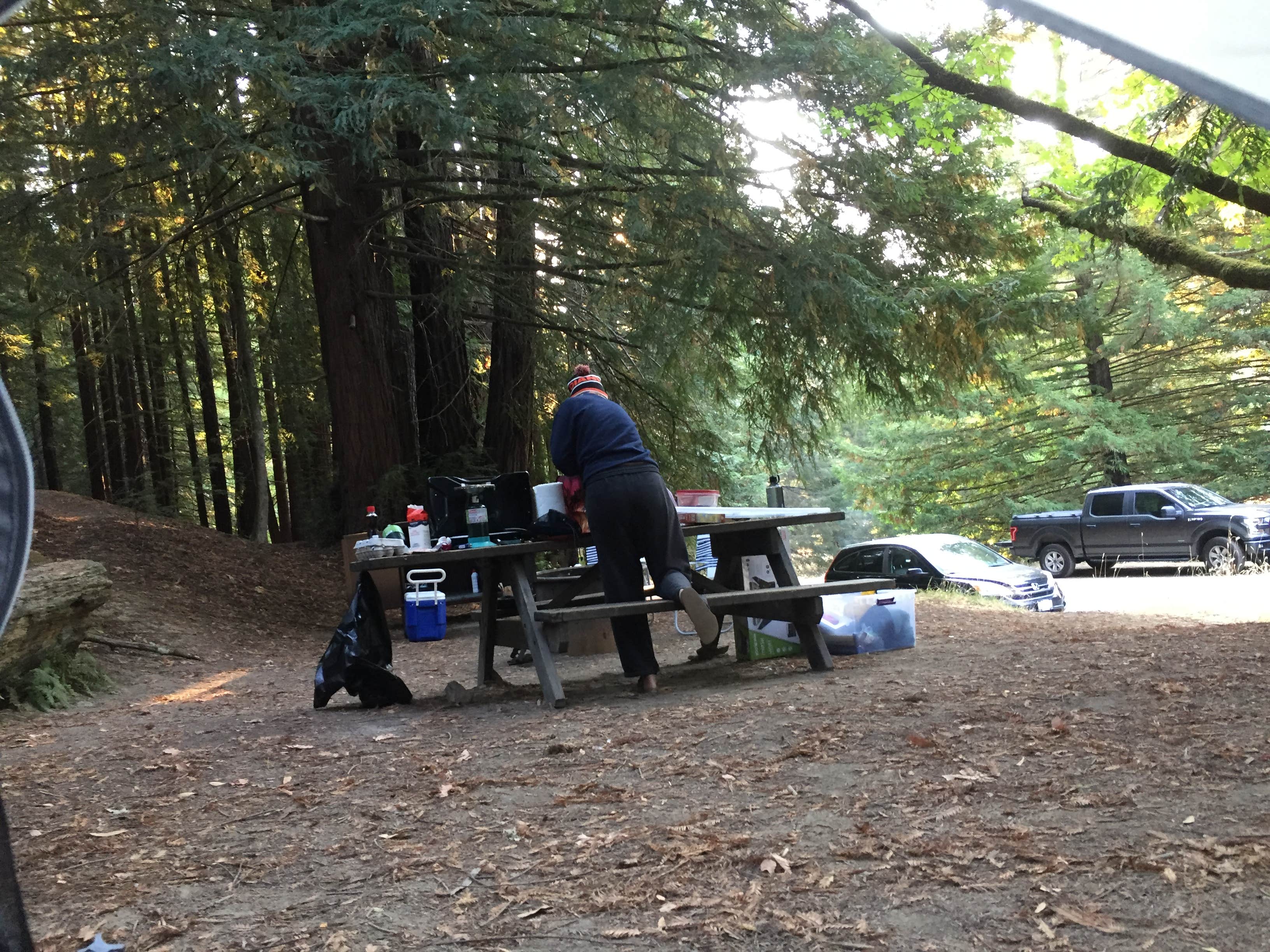 Camper submitted image from Albee Creek Campground — Humboldt Redwoods State Park - 5