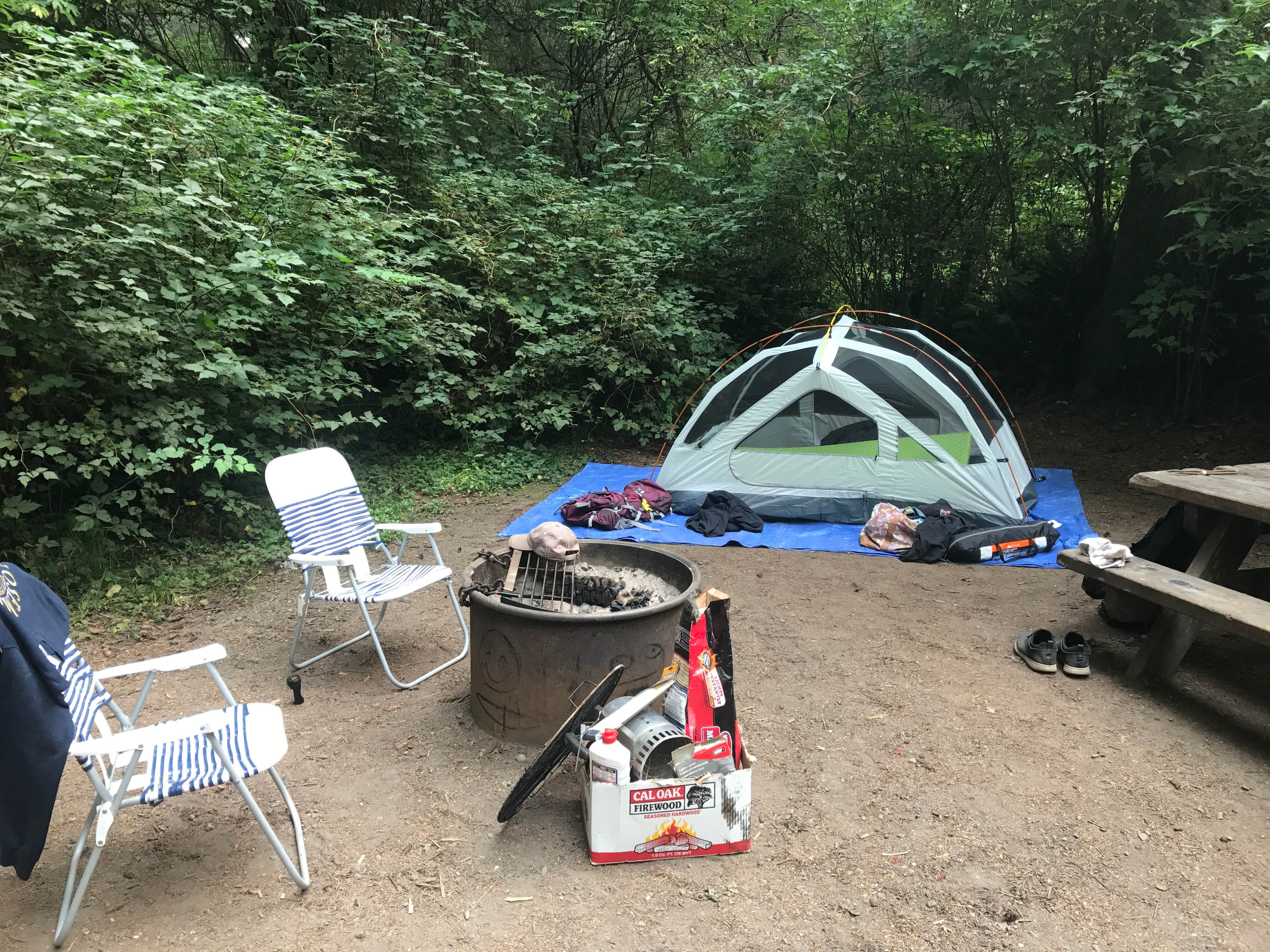 Austin C.'s photo at Elk Prairie Campground — Prairie Creek Redwoods State Park near Orleans, CA