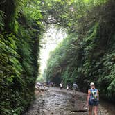 Review photo of Elk Prairie Campground — Prairie Creek Redwoods State Park by Austin C., May 29, 2019