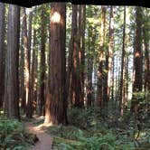 Review photo of Elk Prairie Campground — Prairie Creek Redwoods State Park by Austin C., May 29, 2019