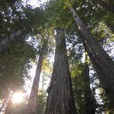 Review photo of Elk Prairie Campground — Prairie Creek Redwoods State Park by Austin C., May 29, 2019