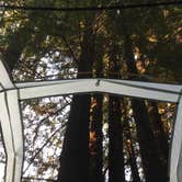 Review photo of Elk Prairie Campground — Prairie Creek Redwoods State Park by Austin C., May 29, 2019