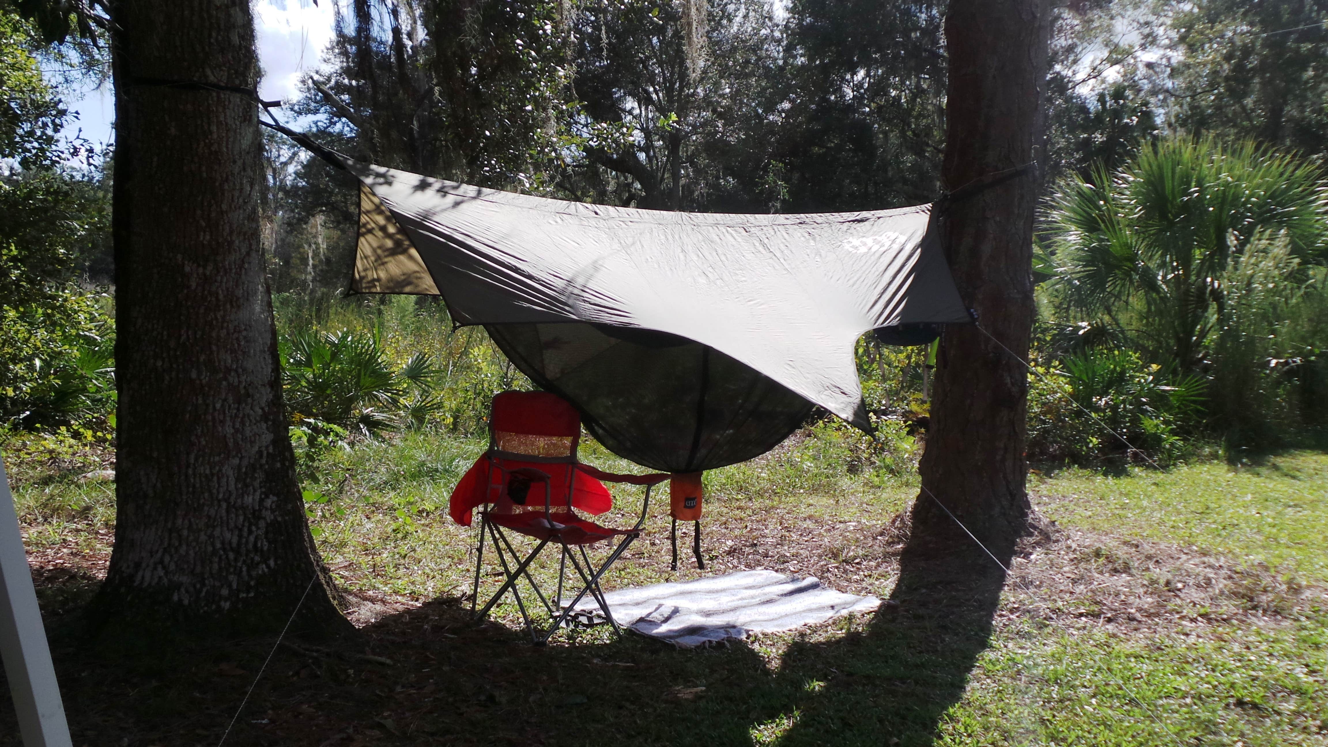 Jeanene A.'s photo of tent camping at Hillsborough River State Park Campground near Weeki Wachee, FL