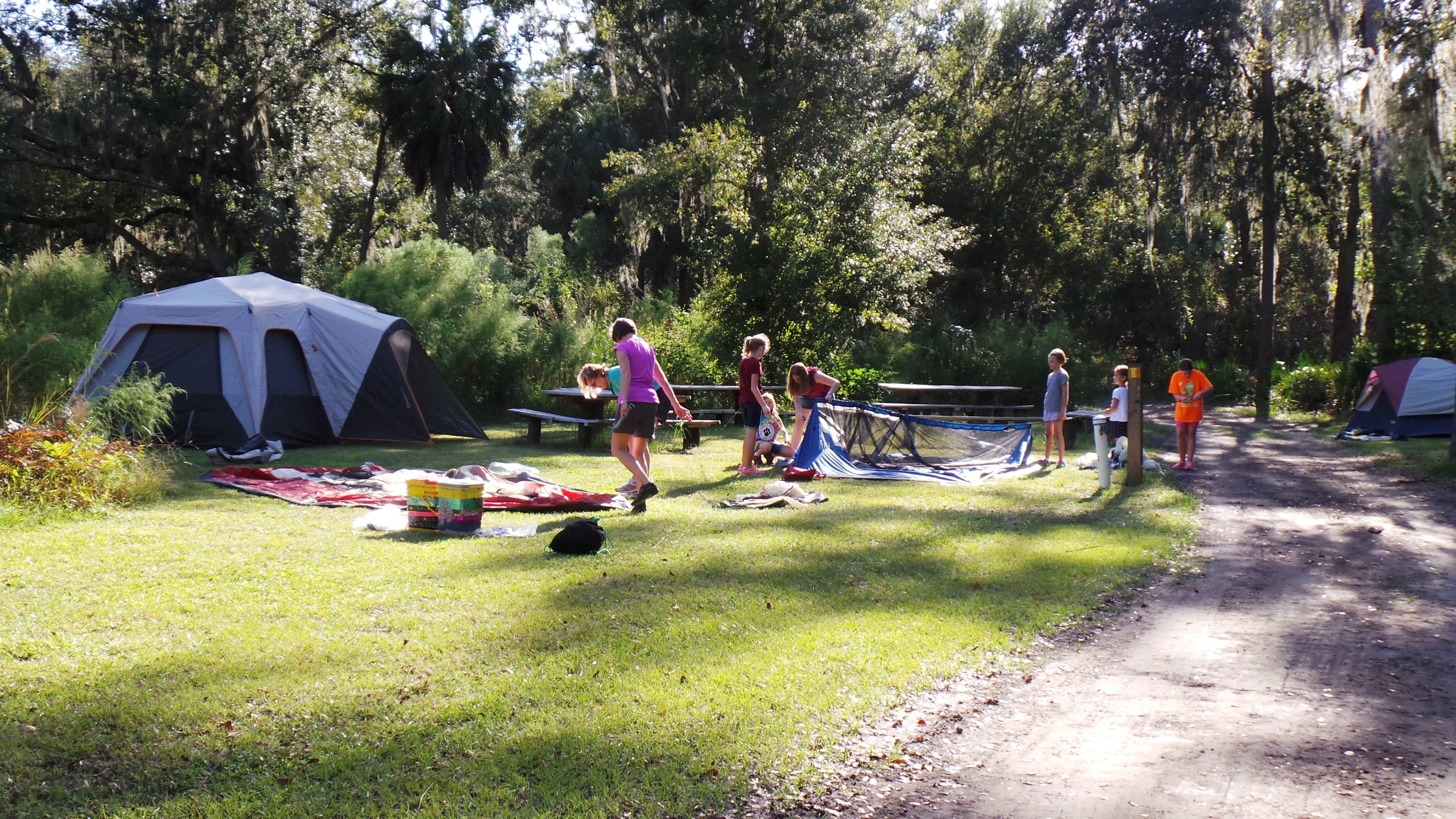 Jeanene A.'s photo of tent camping at Hillsborough River State Park Campground near Odessa, FL