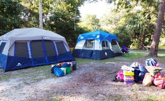 Jeanene A.'s photo at Hillsborough River State Park Campground near Temple Terrace, FL