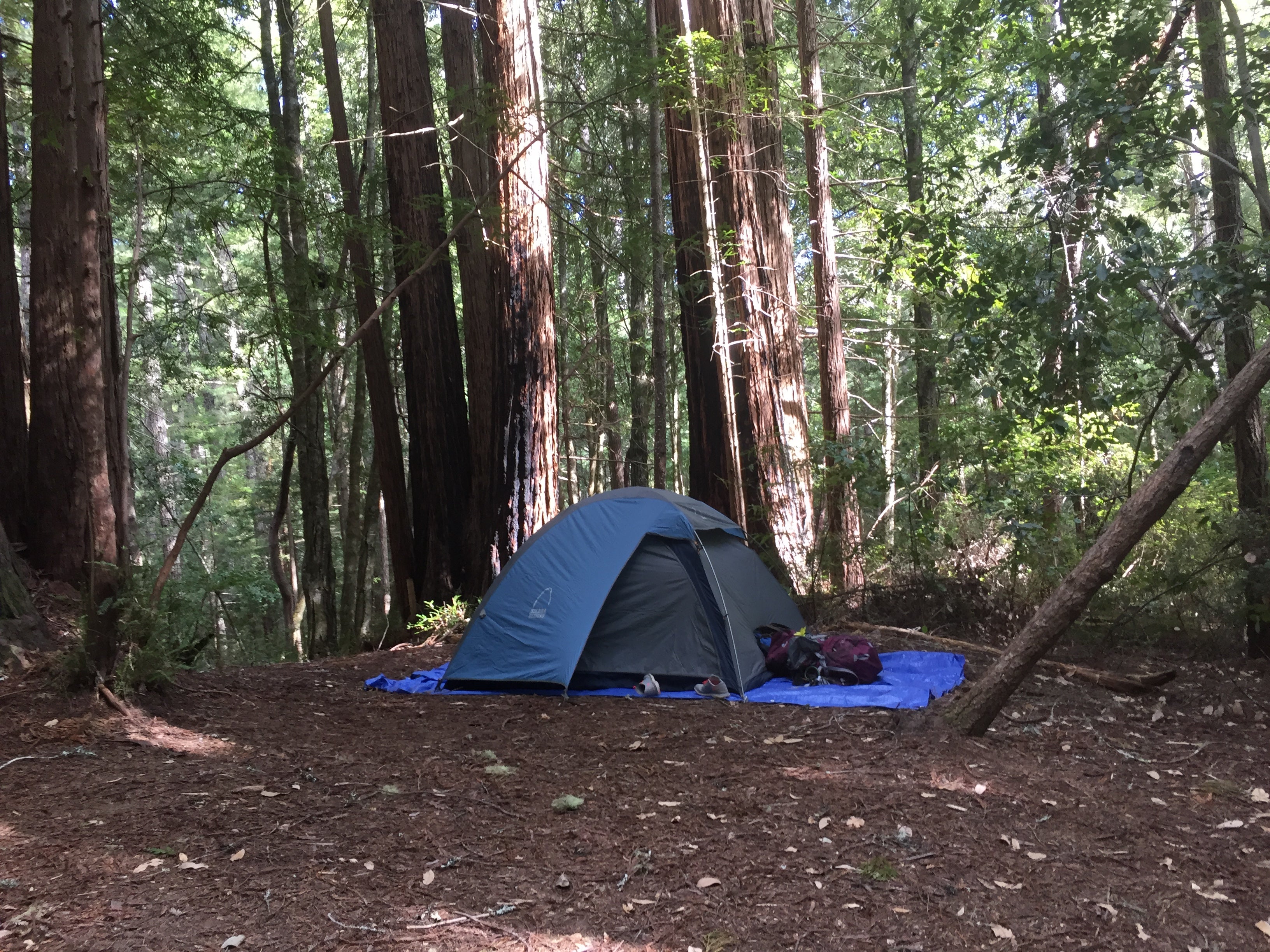 Camper submitted image from Ben Ries Campground — Butano State Park - 5