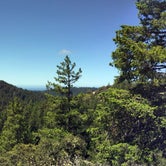 Review photo of Ben Ries Campground — Butano State Park by Austin C., May 29, 2019
