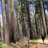 Review photo of Crane Flat Campground — Yosemite National Park by Austin C., May 29, 2019