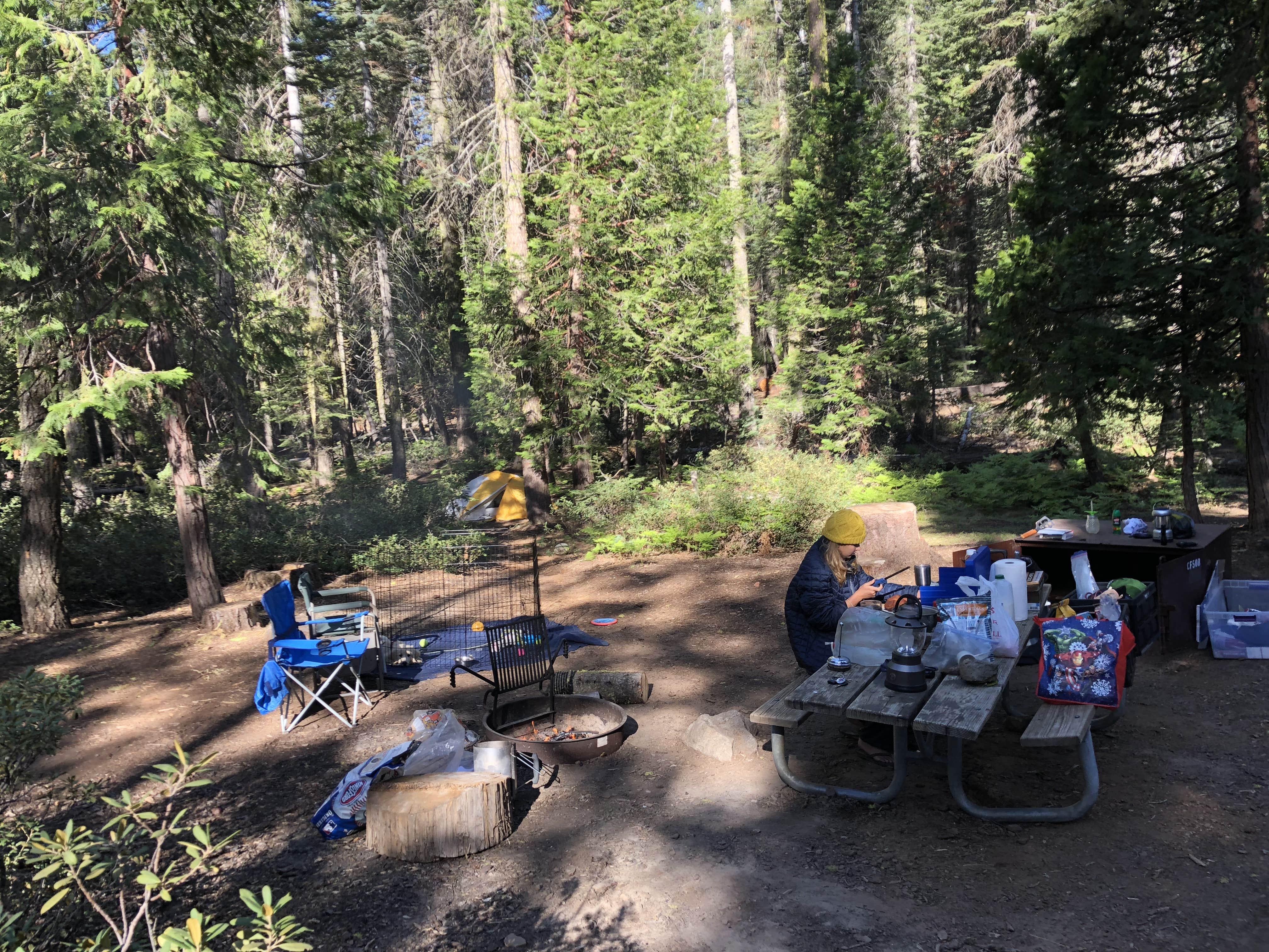 Austin C.'s photo at Crane Flat Campground — Yosemite National Park near El Portal, CA
